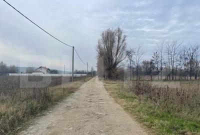 Teren extravilan agricol 5792 mp Popoveni - 6