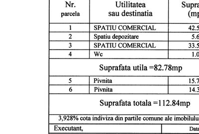 Spatiu stradal cu trafic intens - 4