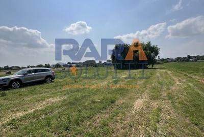 5200 mp intravilan - Str Viitorului (zona Abator) - 3