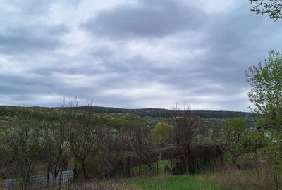 Casă în Todirel - 7