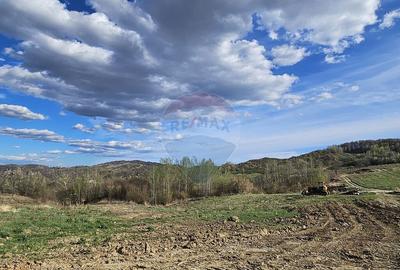 15 parcele de 1000 mp de vanzare in Breaza Prahova- toate... - 6