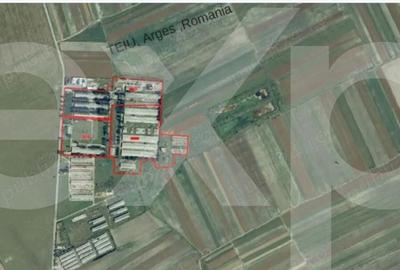 Teren de 120000 mp, în Teiu