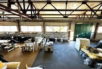 Hale in Slatina,str General Aurel Aldea si 1433 mp teren - 19