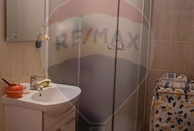 Apartament 3 camere de vanzare 79 mp ultracentral str Boerescu Zaharia - 8