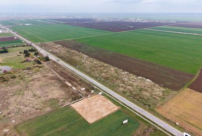 Teren agricol extravilan de 41800 mp, în Vladimirescu - 3