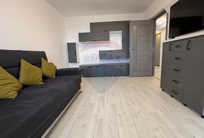Apartament cu 3 camere decomandat, mobilat în Cantemir - 2