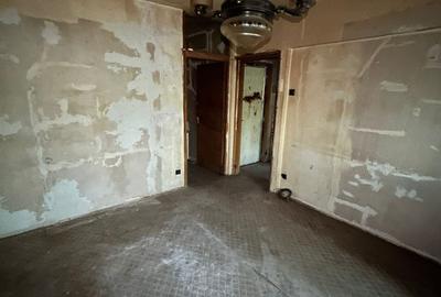 Tineretului,Metrou 10 Min,Radulescu Motru,et 1,NECESITA RENOVARE INTEGRALA - 3
