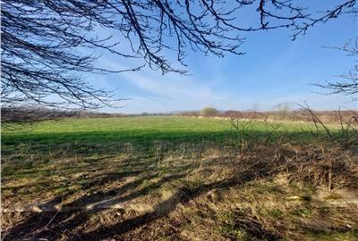 Teren Construcții intravilan de 330000 mp, în Est - 2