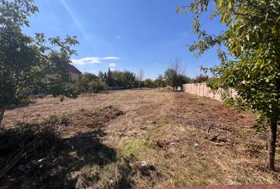 Lot ideal de casa  , Drumul Lapus - 5