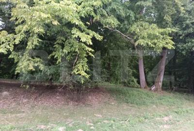 Teren de 5075 mp, în Dej - 2