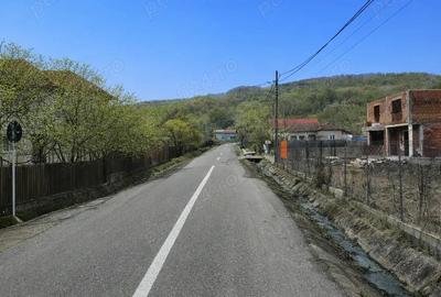 Casă în Firești - 9