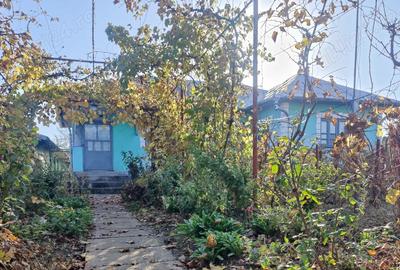 Casă cu 5 camere cu Teren 1820 Mp în Perișor - 6