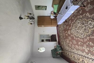 Casa batraneasca din caramida Casa batraneasca din caramida - 2