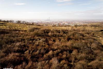 Spațiu comercial, în Podgoria - 9