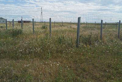 Spațiu comercial, în Leș - 2