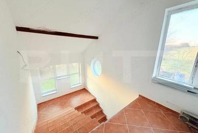 Casa de vanzare 534 mp, teren 16.351 mp, Viile Satu Mare - 2