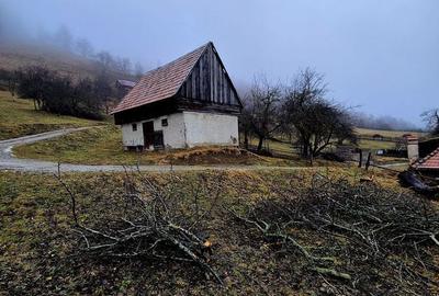 Teren de 4318 mp, în Bran - 3