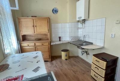 Casa individuala 3 camere - Parcul Carol - 8