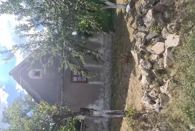 Vand casa - 2