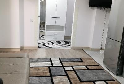 Apartament cu 2 camere în Tatarasi-Himson Bloc Nou - 2