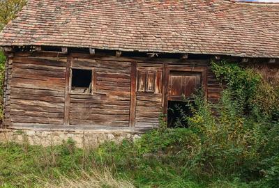 Vand casa batraneasca - 1
