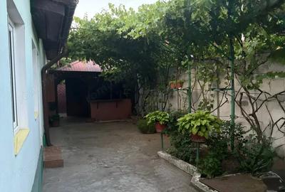 Vand casa Alexandria - 5