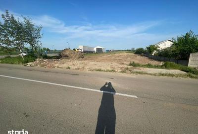 Teren de 8700 mp, în Coșoveni - 1