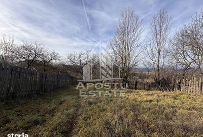 Casă cu 4 camere cu Teren 2231 Mp în Cerbăl - 5