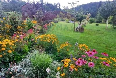 Casă cu 2 camere cu Teren 3100 Mp în Tărlungeni - 10