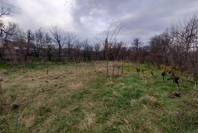 Casă individuală cu 7 camere cu Teren 540 Mp în Berliște - 11