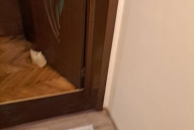 Apartament cu 2 camere în Central - 12