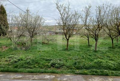 Casă cu 5 camere cu Teren 3000 Mp în Tureni - 1