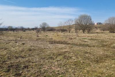 Teren agricol extravilan de 1000 mp, în Șelimbăr - 10