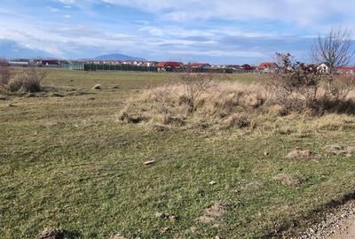 Teren situat in strada Ciresului in suprafata 358 mp in Sanpetru - 2