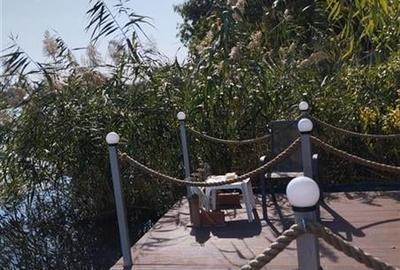 Vila de vanzare cu iesire (ponton) la lacul Snagov, in Izvorani - 38