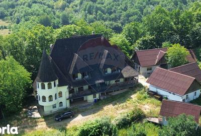 Casă cu Teren 24700 Mp în Copalnic - 4