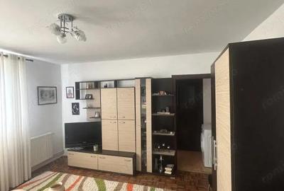 Apartament cu 2 camere de vanzare, 30 mp, Dealul Florilor Apartament cu 2 camere de vanzare, 30 mp, Dealul Florilor - 2