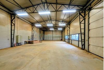 Spațiu industrial, de 250 mp, în Hodiș - 3