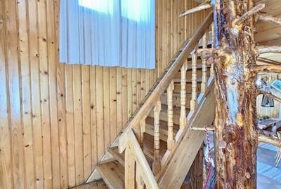 Pensiune in jud. Buzau, loc Ivanetu| Constructie lemn|Pozitionare impresionanta - 13