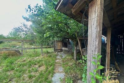 Casa cu anexe si teren de 959 mp de vanzare in Tinca - Bihor - 38