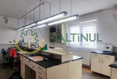 Apartament la casă, P+E - curte comună doar 2 proprietari - 6