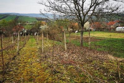 Casă individuală cu 3 camere cu Teren 280 Mp în Camăr - 7