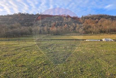 Teren extravilan de 12242 mp, în Ultracentral - 3