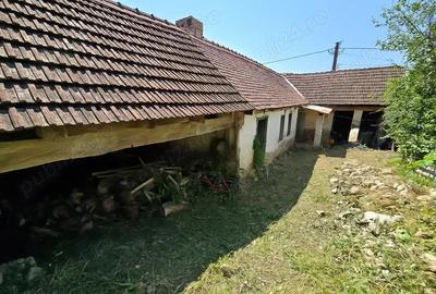 Casa tradi?ionala din piatra de vanzare, zona Cheile Nerei - 3