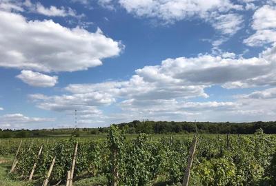 Teren de 9500 mp, în Central - 1