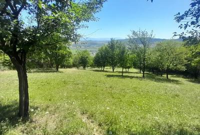 Teren de 5000 mp, în Viișoara - 1