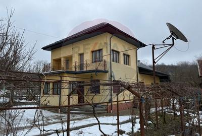 Casă cu 6 camere cu Teren 3610 Mp în Vladimir - 15