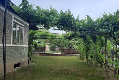 Teren si casa batraneasca in Dumbravesti, Prahova Teren si casa batraneasca in Dumbravesti, Prahova - 5