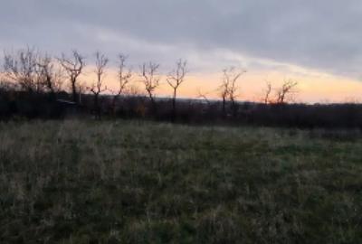 Teren de 4760 mp, în Ghercești - 3