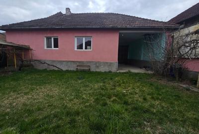 Casă individuală cu 5 camere cu Teren 3097 Mp în Șuștiu - 7